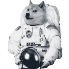 DOGE